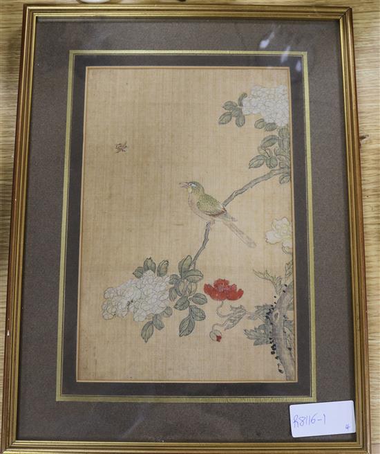 Chinese School, pair of watercolours on silk, birds and flowers, 26 x 17cm and a pair of roundels